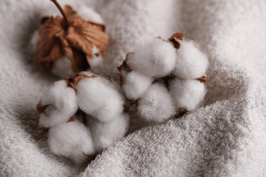 Housses de Canapé : Un Choix Durable et Écologique