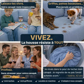 Nuage